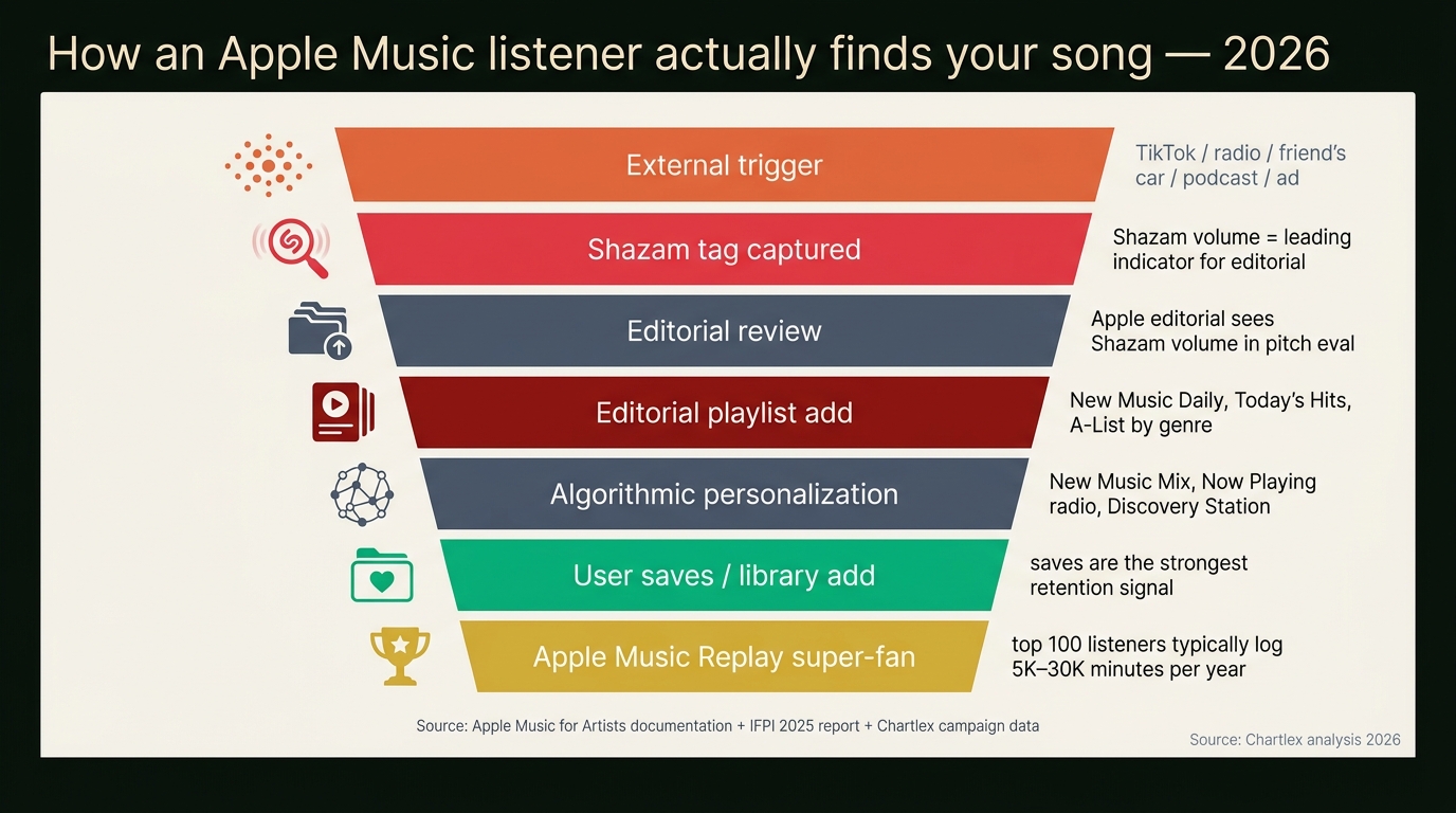 Vertical infographic titled "How an Apple Music listener actually finds your song" showing a top-to-bottom funnel in seven stages. Stage 1 at the top: external trigger (TikTok / radio / friend's car / ad / podcast) drawn as scattered dots in coral. Stage 2: Shazam tag captured shown as a single magnifying-glass icon with a radial pulse in Apple-red. Stage 3: editorial team review shown as a small stack of folders in Apple-grey, with annotation "editorial sees Shazam volume in pitch eval". Stage 4: editorial playlist add (New Music Daily, Today's Hits, A-List by genre) shown as three horizontally stacked playlist cards in deep red. Stage 5: algorithmic personalization (New Music Mix, Now Playing radio) shown as a circular network diagram in slate. Stage 6: user save / library add shown as a heart icon and a folder icon in green. Stage 7 at the bottom: Apple Music Replay super-fan tier shown as a single trophy icon in gold with annotation "top 100 listeners = 5K-30K minutes per year". A small footer reads "Apple Music discovery funnel, indie artist 2026, sources: Apple Music for Artists documentation, IFPI 2025 report, Chartlex campaign data".